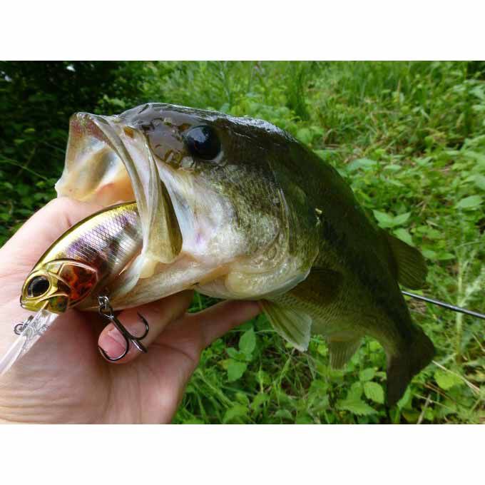 Leurre Duo Realis Crank M65 8A – Flottant 65mm Pour Bass – ACCZ292
