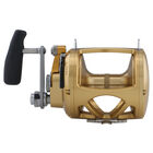 Moulinet traine penn international vi 80 sw double vitesse s&eacute;rie gold - Moulinets tambour Tournant | Pacific P&ecirc;che