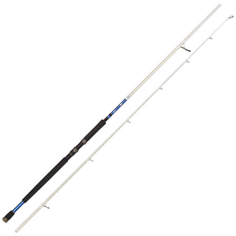Moule Pour Plombs De Pêche Au Hareng Pirk 80-100 G Leurre