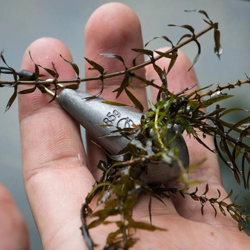 plomb carpe pacific peche