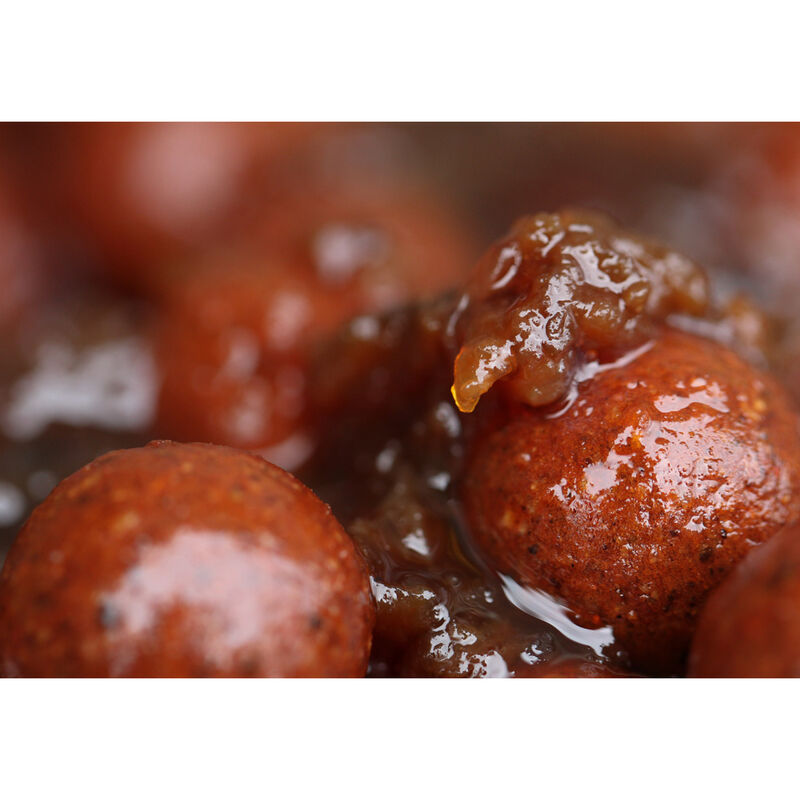 Booster CC Moore Liquid Squid  Extract Compound 500ml - Boosters / dips | Pacific Pêche