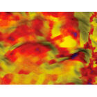 Logiciel de création des cartes Autochart PRO + Carte SD Zeroline EU - Sondeurs | Pacific Pêche