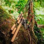 Canne Spinning Evok Invictus Trout 602UL 1.80m, 1-7g - Cannes Spinning | Pacific Pêche