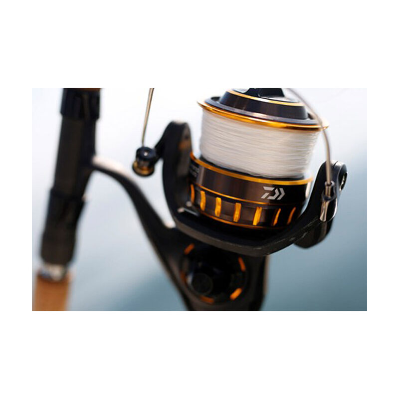 Moulinet Daiwa bg black gold 2500 - Moulinets tambour Fixe | Pacific Pêche