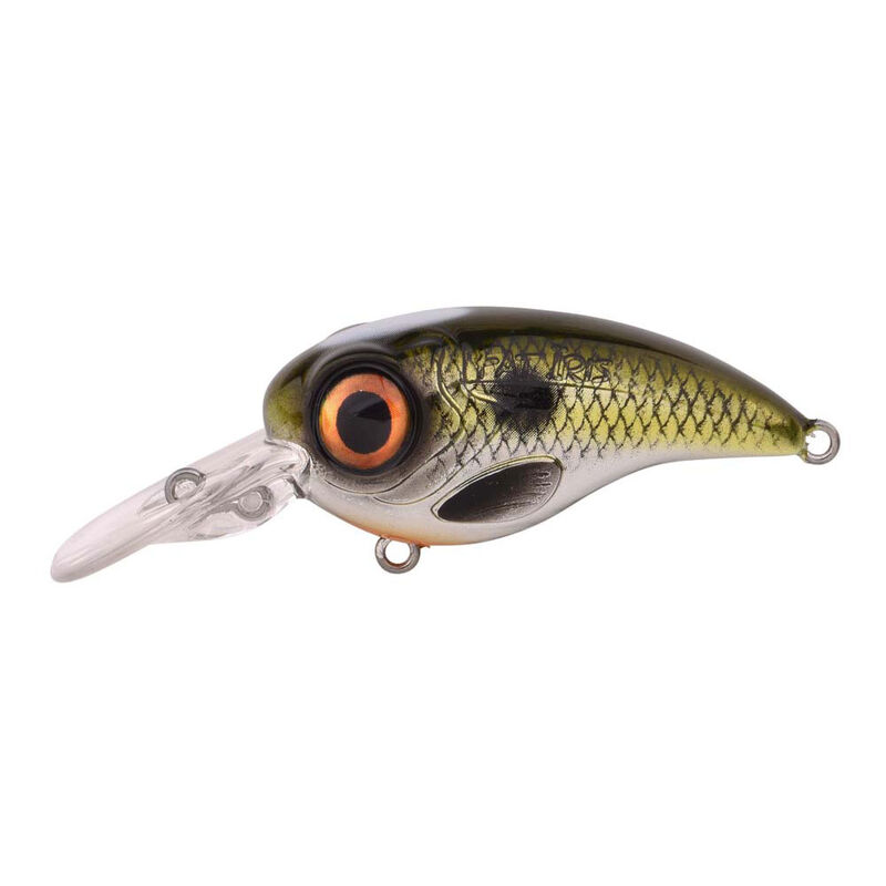 Leurre Dur Crankbait Spro Fat iris 80 CR 8cm, 40g - Crankbaits | Pacific Pêche