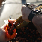 Spod Spyder Spod Medium Orange et Noir - Bait Rocket | Pacific P&ecirc;che