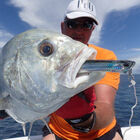 Leurre duo pencil popper 148 realis 14.8cm 35g - Leurres poppers / Stickbaits | Pacific P&ecirc;che