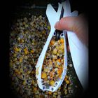 Bait rocket carpe wolf spider white - Bait Rocket | Pacific P&ecirc;che