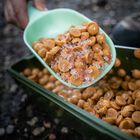 Pelle d'amorçage carpe ridge monkey nite glo bait spoon - Pelles à Appâts | Pacific Pêche