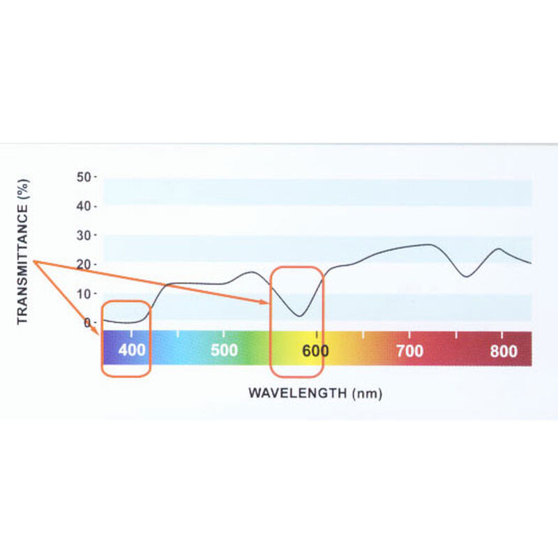 Lunettes polarisantes costa hammock verres  polycarbonate 580p (modele femme) - Lunettes polarisantes | Pacific Pêche