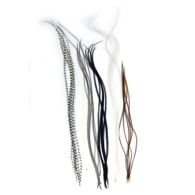 Fly tying plumes jmc lancettes top grade (6 plumes) - Plumes | Pacific Pêche