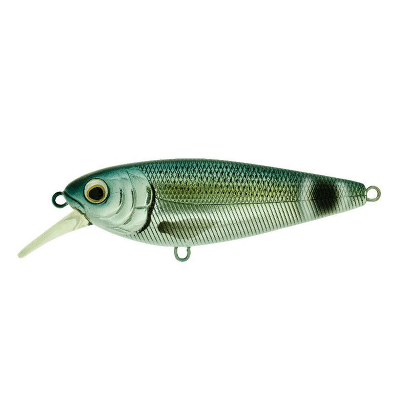 Jerkbait Coulant Molix Brugas R 8.5cm, 20g - Jerkbaits | Pacific P&ecirc;che