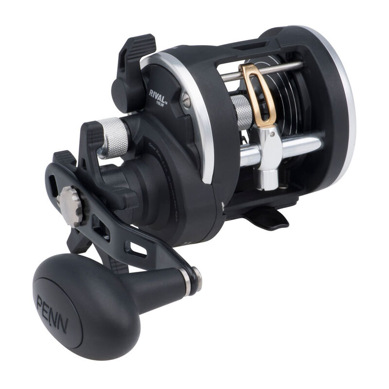 Moulinet Penn Level wind Rival 20 lw - Moulinets tambour Tournant | Pacific P&ecirc;che