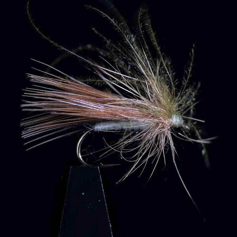 Sedge JMC Bracchy H14 (x3) - Sèches | Pacific Pêche