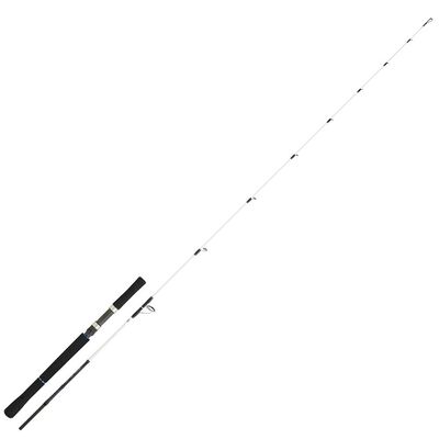 Canne bay Jigging Daiwa saltist off shore 1.91m 60/150g - Cannes | Pacific P&ecirc;che