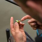 Sonde Cresta Supa Plummets 35g x2 - Destockage | Pacific P&ecirc;che