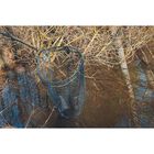 Tête d'épuisette Teos Specimen Net 600 - Têtes | Pacific Pêche