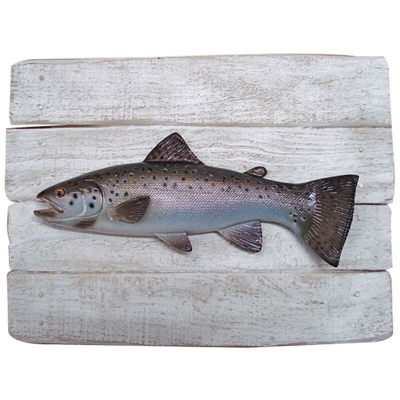 Cadre 1/2 coque cap vert saumon atlantique 19x25cm - D&eacute;coration | Pacific P&ecirc;che