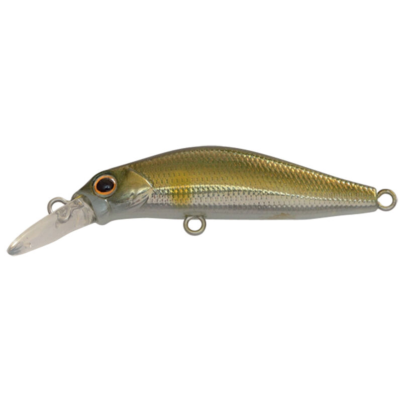Leurre Coulant Jackson Canada 60 Mm BPI (2357) Pour Truite, Pêche En Eau Douce