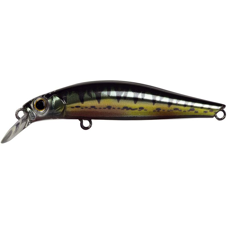 Leurre Dur Jerkbait Jackson Artist 65HW 6.5cm 7.5g - Jerkbaits | Pacific Pêche