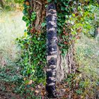 Sac de conservation Mack2 Falcon LTD Retention Sling - Sacs Conservation | Pacific Pêche