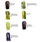 Leurre m&eacute;tallique spinnerbait carnassier delalande spinner flex 14g - Spinnerbaits | Pacific P&ecirc;che