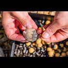 Recharche Soluble OMC Fade Chopstix PVA Mesh Refill - Filets | Pacific Pêche