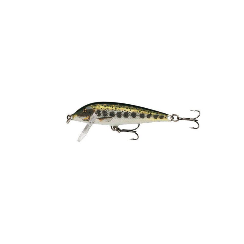 Leurre Dur Jerkbait Rapala Countdown 5cm, 5g - Jerkbaits | Pacific P&ecirc;che