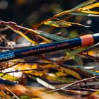 Canne GARBOLINO Optima XS AN - Cannes multi-brins | Pacific Pêche