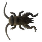 Leurre Souple Insecte Delalande Grillon 3cm (x3) Violet Ayu - Ecrevisses / Cr&eacute;atures | Pacific P&ecirc;che