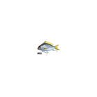 Leurre Little Jack Charikom 8,2cm - Leurres poissons nageurs | Pacific Pêche