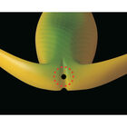 Leurre souple frog carnassier deps basirisky hardbelly 70 7cm 21g - Frog | Pacific P&ecirc;che