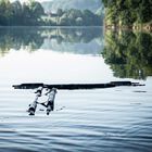 Sac de conservation flottant mack2 european weight sling - Sacs Conservation | Pacific P&ecirc;che