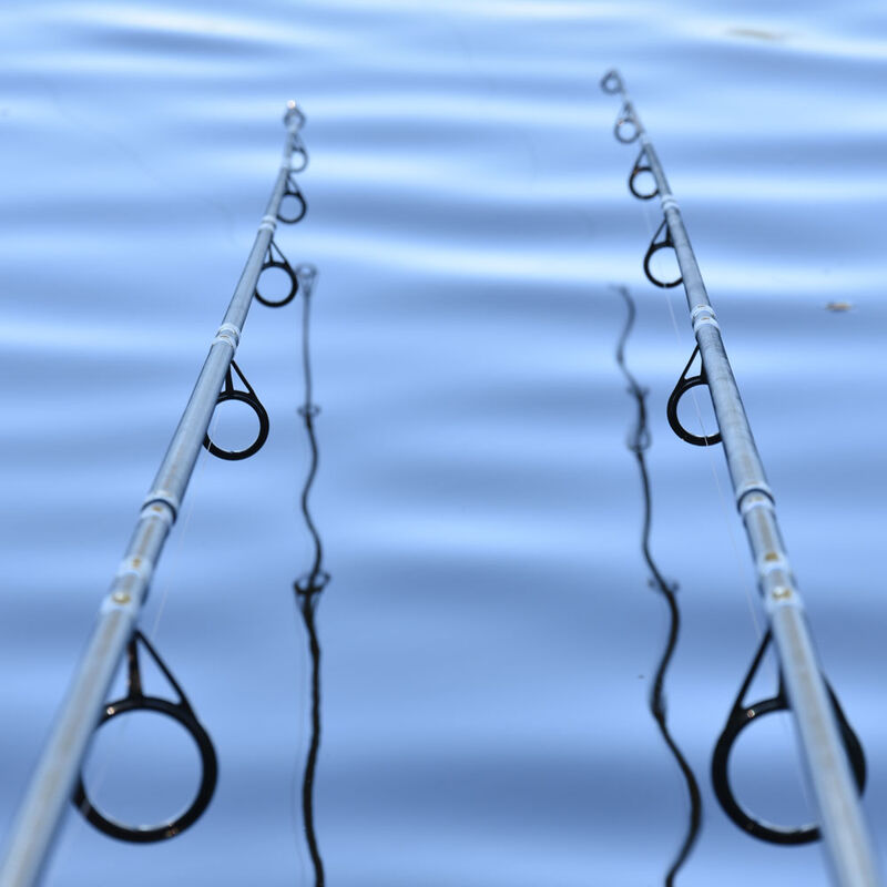 Canne &agrave; carpe prowess serenity 12' 3 lbs - Cannes 12' | Pacific P&ecirc;che