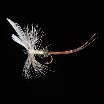 Mouche de mai P3 H10 (x3) - Sèches | Pacific Pêche