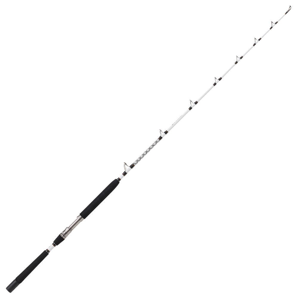 Canne à Pêche PENN Battalion Popper | Carbone Monobrin, Pour Pêche Exotique, Thon, Carangue