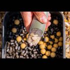 Recharche Soluble OMC Fade Chopstix PVA Mesh Refill - Filets | Pacific Pêche