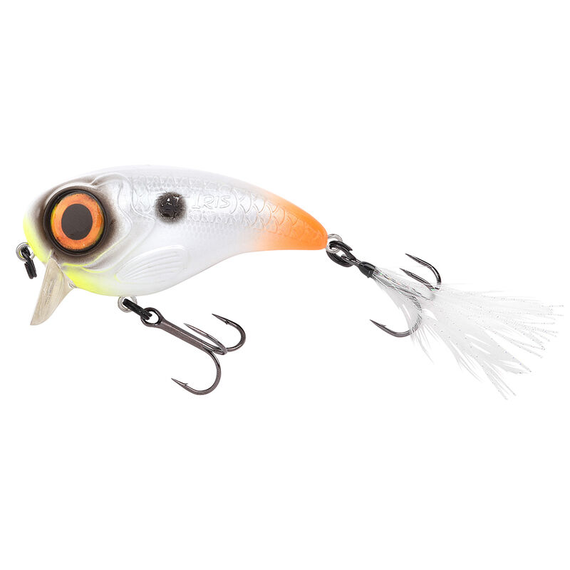 Leurre Dur Crankbait Spro Fat Iris 80 8cm, 39g - Crankbaits | Pacific P&ecirc;che