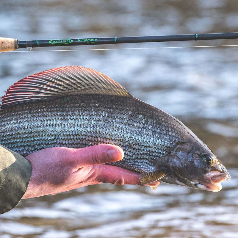 Canne Vision Nymphmaniac 9'6 soie 3 (4 brins) - Cannes | Pacific Pêche