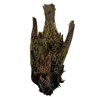 Fly tying plumes jmc peau d'étourneau entière - Poils | Pacific Pêche