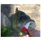 leurre souple Delalande SANDRA 12CM 10.9G (X3) - Grubs | Pacific P&ecirc;che