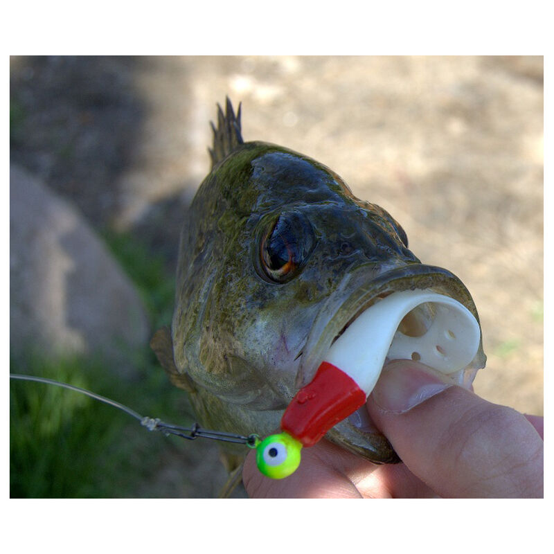 leurre souple Delalande SANDRA 12CM 10.9G (X3) - Grubs | Pacific P&ecirc;che