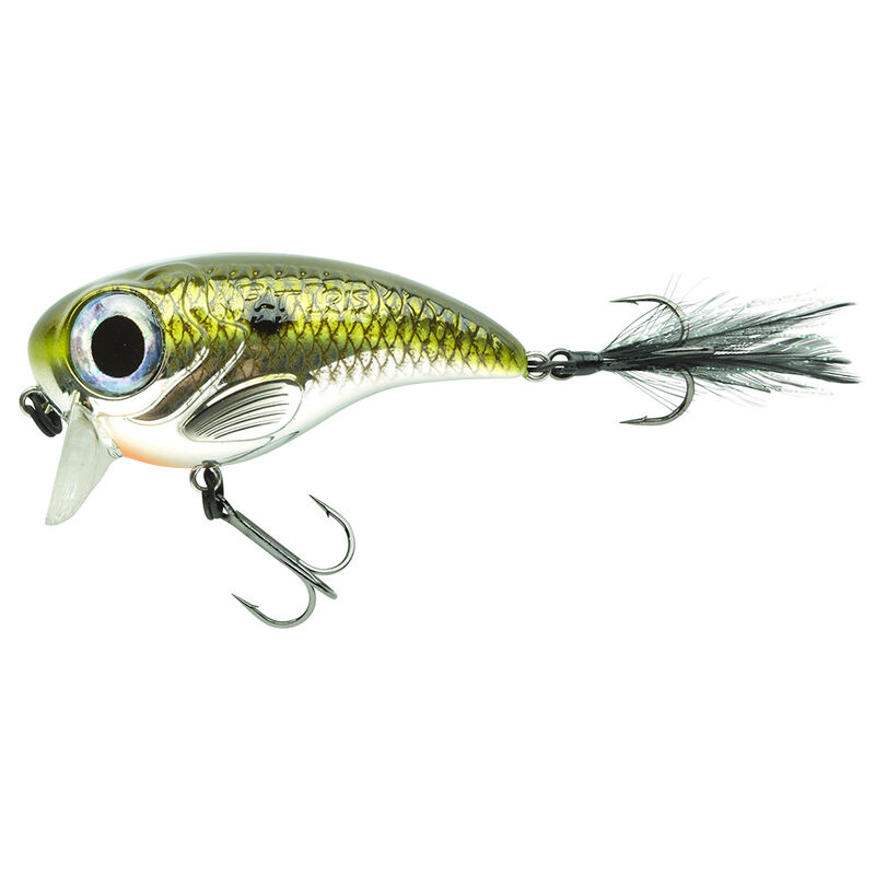 Leurre Dur Crankbait Spro Fat Iris 80 8cm, 39g - Crankbaits | Pacific Pêche