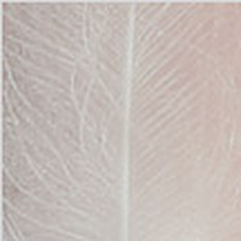 Fly tying plumes jmc cdc (cul de canard) environ 50 plumes - Plumes | Pacific Pêche