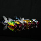 Leurre Dur Popper Evok Viktima 6.5cm, 11g - Surface | Pacific Pêche