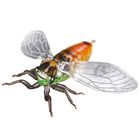 Leurre dur insecte carnassier jackson namazemi 4,2cm 4,5g - Surface | Pacific P&ecirc;che