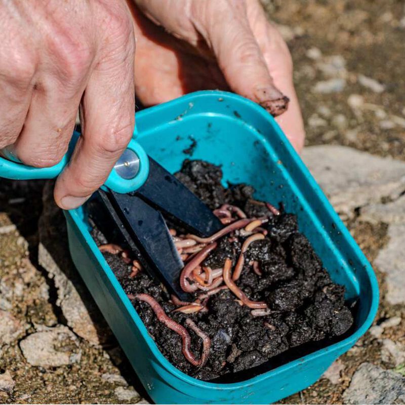 Ciseaux à vers Rive - Accessoires Amorçages | Pacific Pêche