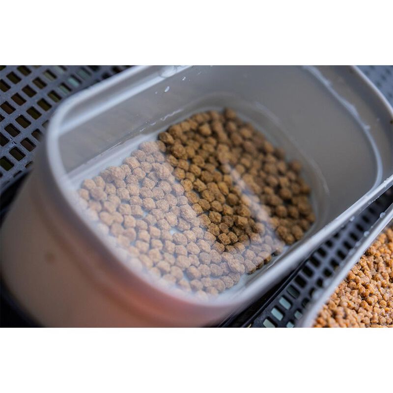 Boite Guru Conti Bait Box 1.1 Pint Grey - Boites | Pacific P&ecirc;che