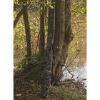 Fourreau Solar Camo 3+2 Cannes 10" - Fourreaux | Pacific P&ecirc;che