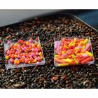 Appâts Artificiels Cresta Spaghetti Worms (x8) - Appâts artificiels | Pacific Pêche